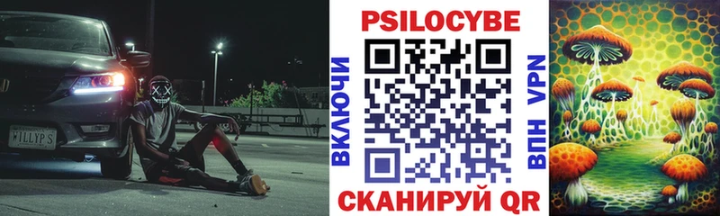Галлюциногенные грибы Psilocybe  где найти наркотики  Комсомольск 